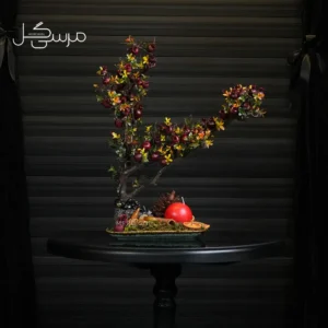 درختچه بونسای انار یلدایی YA048