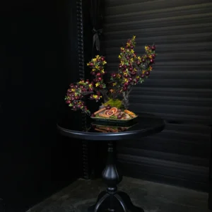 درختچه بونسای انار یلدایی YA049-3