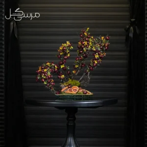 درختچه بونسای انار یلدایی YA049