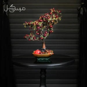 درختچه بونسای انار یلدایی YA050