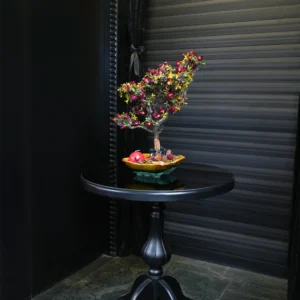 درختچه بونسای انار یلدایی YA050-3