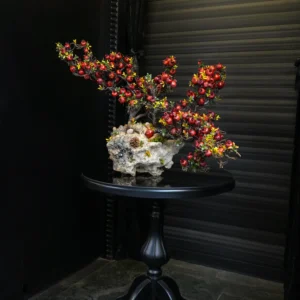 درختچه بونسای انار یلدایی YA051-2