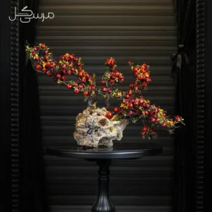 درختچه بونسای انار یلدایی YA051