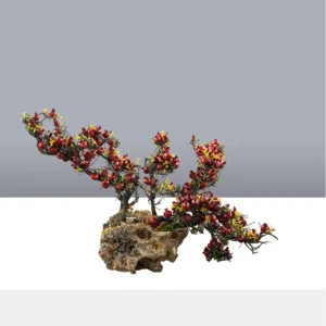 درختچه بونسای انار یلدایی YA051-4
