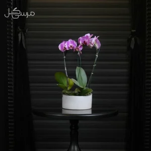 گلدان ارکیده GR015