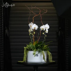 گلدان ارکیده GR017