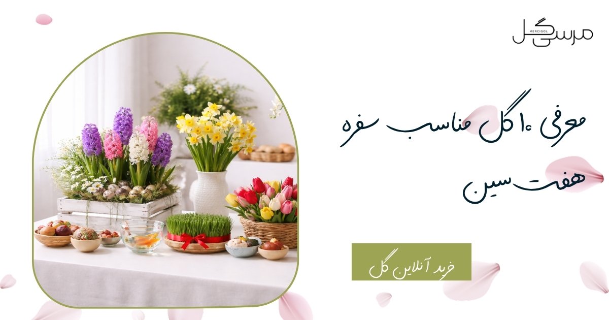 گل عید نوروز | معرفی ۱۰ گل مناسب سفره هفت‌ سین