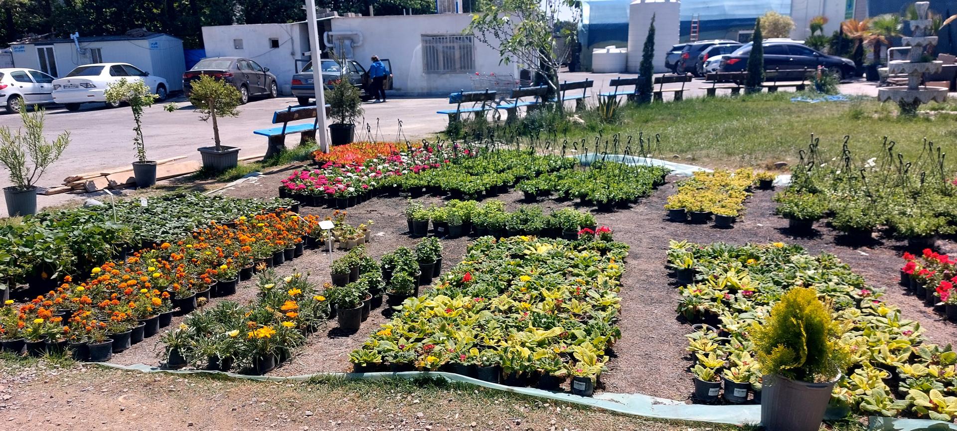 بازار گل و گیاه فکوری