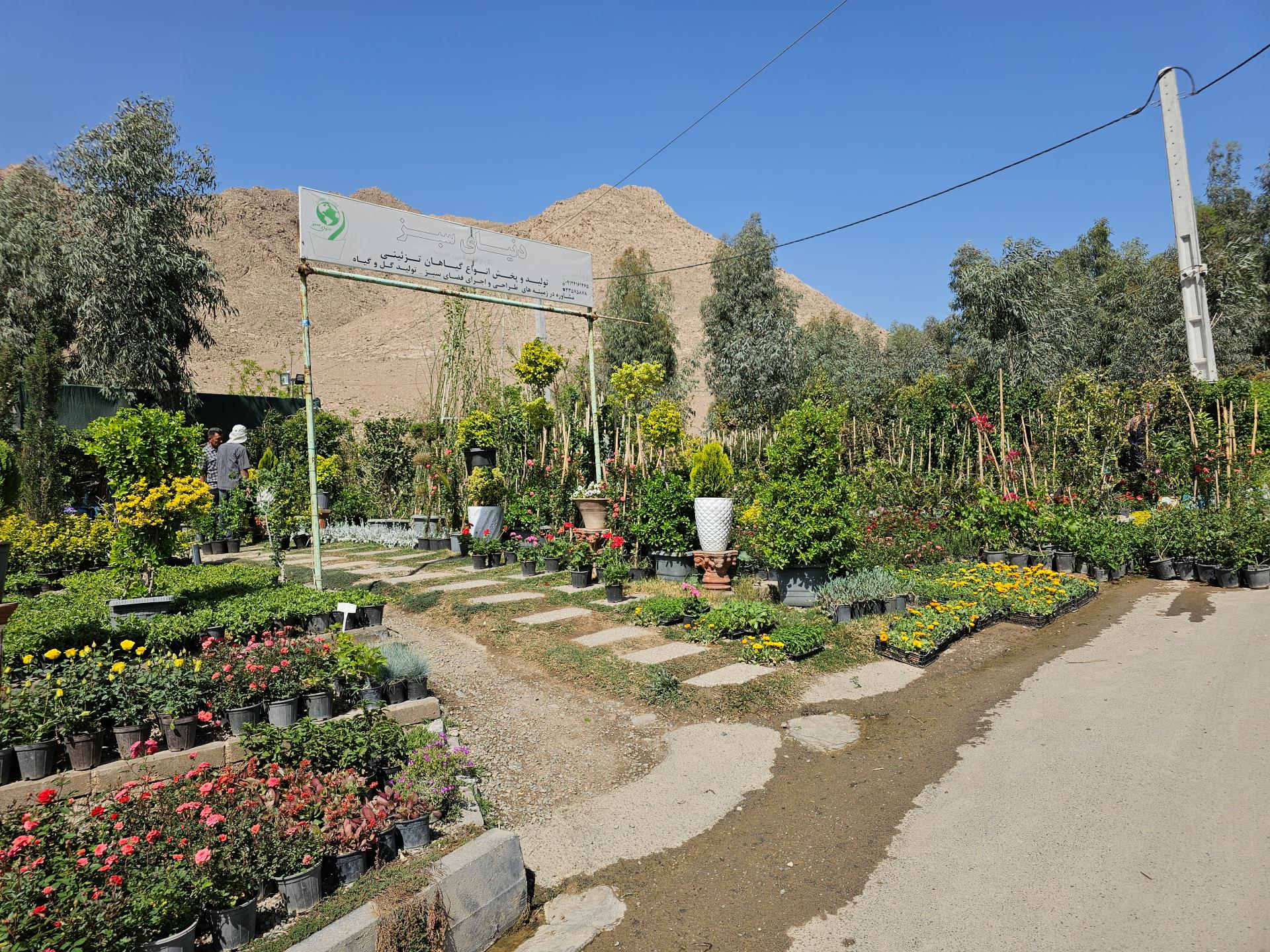 بازار گل و گیاه امام رضا